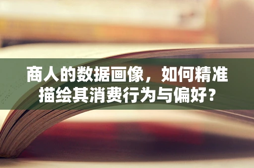 商人的数据画像，如何精准描绘其消费行为与偏好？