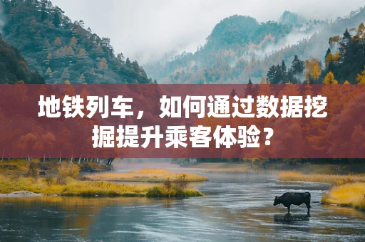 地铁列车，如何通过数据挖掘提升乘客体验？