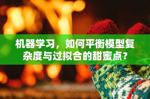机器学习，如何平衡模型复杂度与过拟合的甜蜜点？