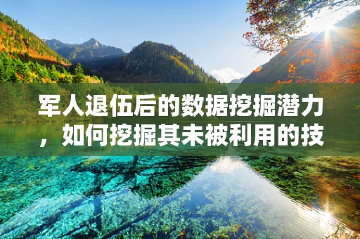 军人退伍后的数据挖掘潜力，如何挖掘其未被利用的技能与经验？