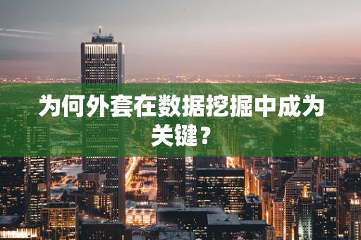 为何外套在数据挖掘中成为关键？