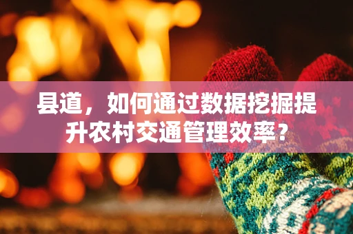 县道，如何通过数据挖掘提升农村交通管理效率？
