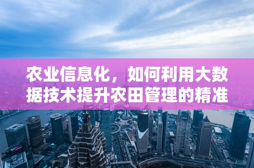 农业信息化，如何利用大数据技术提升农田管理的精准性？