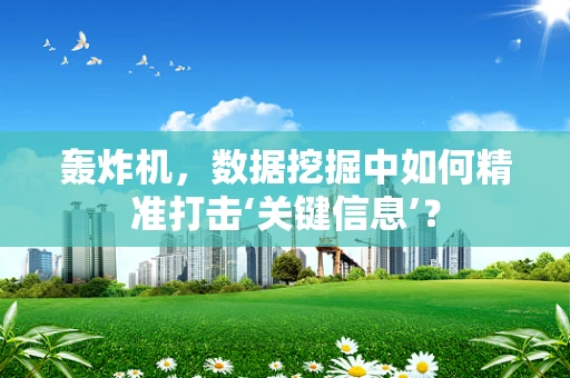 轰炸机，数据挖掘中如何精准打击‘关键信息’？