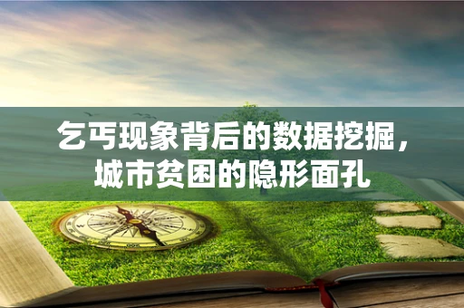 乞丐现象背后的数据挖掘，城市贫困的隐形面孔