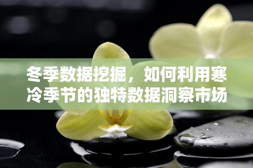 冬季数据挖掘，如何利用寒冷季节的独特数据洞察市场趋势？