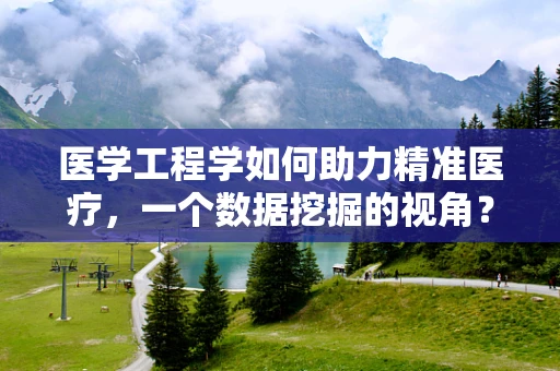 医学工程学如何助力精准医疗，一个数据挖掘的视角？