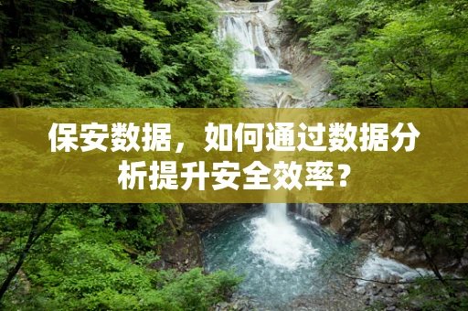 保安数据，如何通过数据分析提升安全效率？