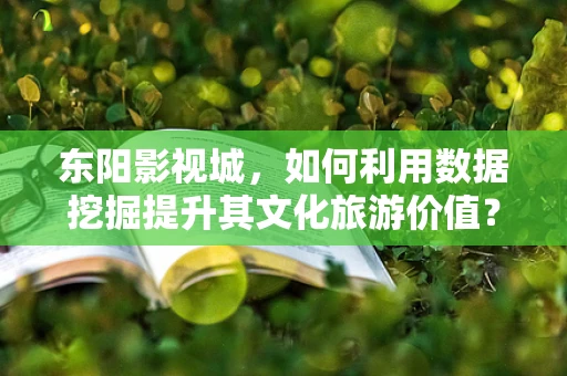 东阳影视城，如何利用数据挖掘提升其文化旅游价值？