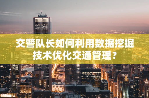 交警队长如何利用数据挖掘技术优化交通管理？