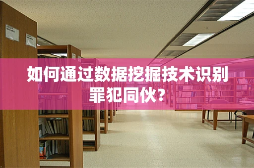 如何通过数据挖掘技术识别罪犯同伙？