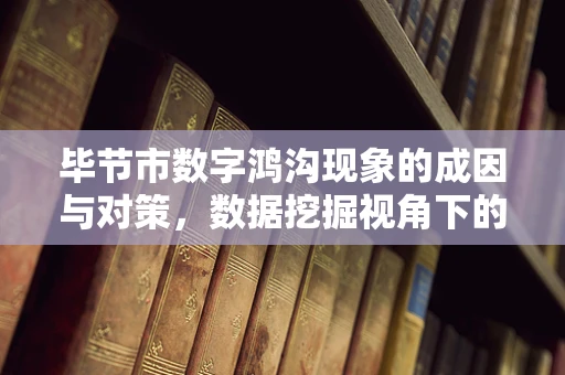 毕节市数字鸿沟现象的成因与对策，数据挖掘视角下的探索