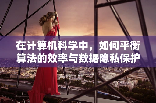 在计算机科学中，如何平衡算法的效率与数据隐私保护？