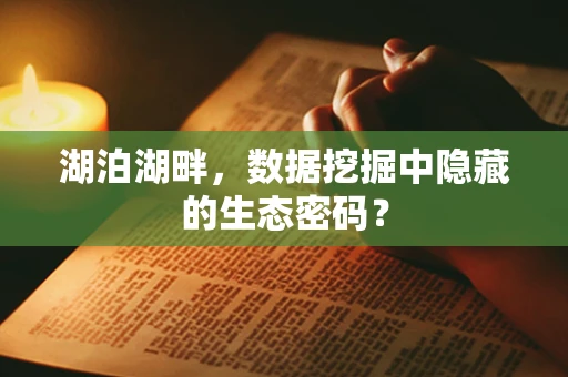 湖泊湖畔，数据挖掘中隐藏的生态密码？