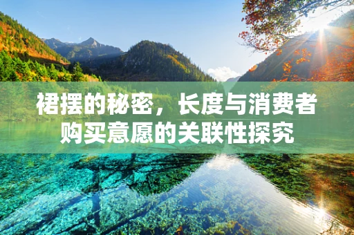 裙摆的秘密，长度与消费者购买意愿的关联性探究