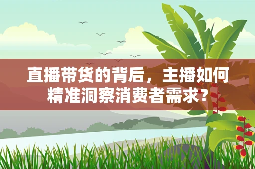 直播带货的背后，主播如何精准洞察消费者需求？