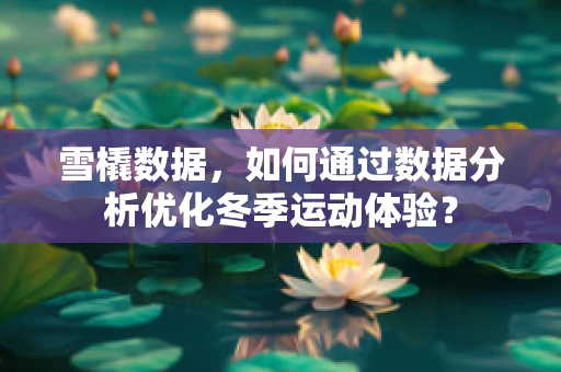 雪橇数据，如何通过数据分析优化冬季运动体验？