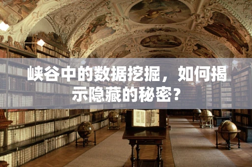 峡谷中的数据挖掘，如何揭示隐藏的秘密？