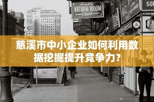 慈溪市中小企业如何利用数据挖掘提升竞争力？