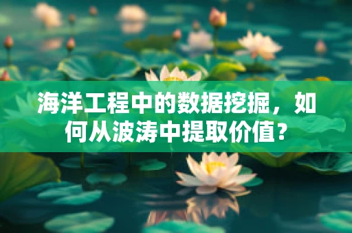 海洋工程中的数据挖掘，如何从波涛中提取价值？