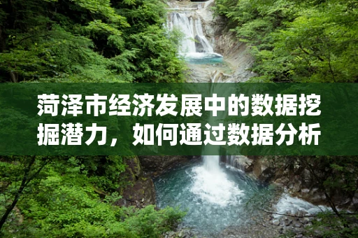 菏泽市经济发展中的数据挖掘潜力，如何通过数据分析优化城市资源配置？