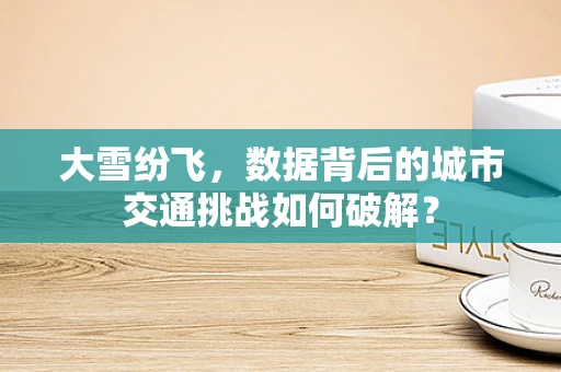大雪纷飞，数据背后的城市交通挑战如何破解？