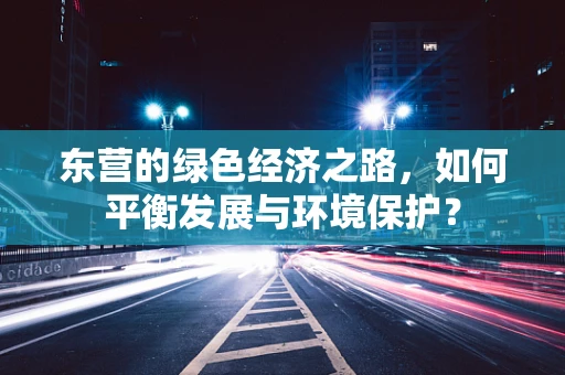 东营的绿色经济之路，如何平衡发展与环境保护？