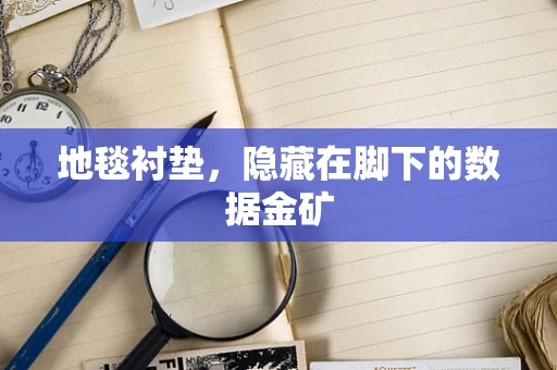 地毯衬垫，隐藏在脚下的数据金矿
