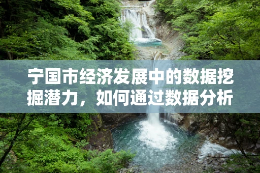 宁国市经济发展中的数据挖掘潜力，如何通过数据分析揭示地方特色与增长机遇？