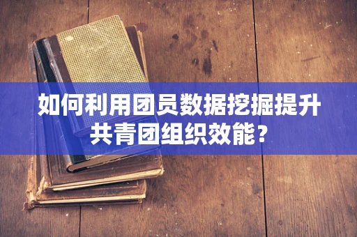 如何利用团员数据挖掘提升共青团组织效能？