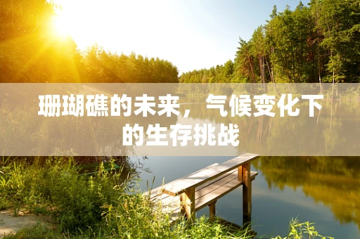 珊瑚礁的未来，气候变化下的生存挑战