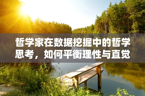 哲学家在数据挖掘中的哲学思考，如何平衡理性与直觉？