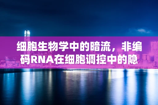 细胞生物学中的暗流，非编码RNA在细胞调控中的隐形角色