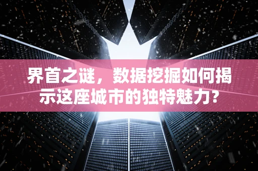 界首之谜，数据挖掘如何揭示这座城市的独特魅力？