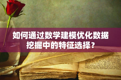 如何通过数学建模优化数据挖掘中的特征选择？