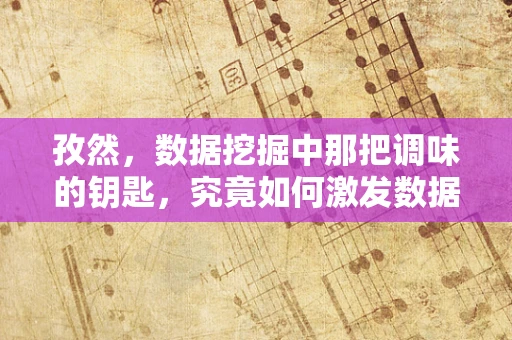 孜然，数据挖掘中那把调味的钥匙，究竟如何激发数据潜力？