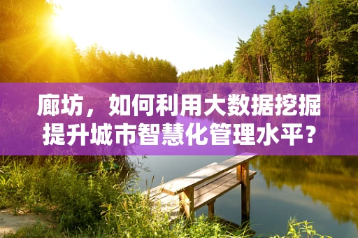 廊坊，如何利用大数据挖掘提升城市智慧化管理水平？