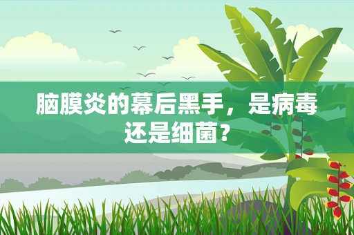 脑膜炎的幕后黑手，是病毒还是细菌？
