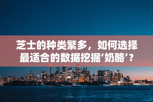 芝士的种类繁多，如何选择最适合的数据挖掘‘奶酪’？