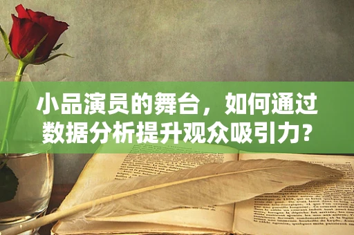 小品演员的舞台，如何通过数据分析提升观众吸引力？