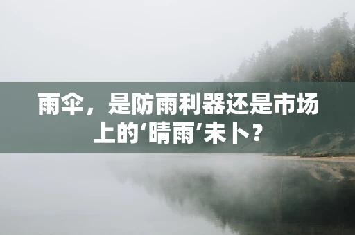 雨伞，是防雨利器还是市场上的‘晴雨’未卜？