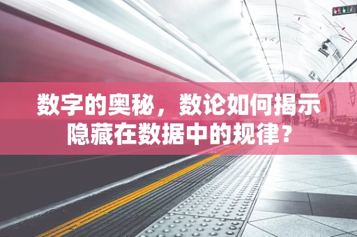 数字的奥秘，数论如何揭示隐藏在数据中的规律？