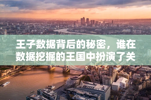 王子数据背后的秘密，谁在数据挖掘的王国中扮演了关键角色？