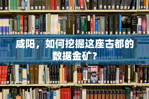 咸阳，如何挖掘这座古都的数据金矿？