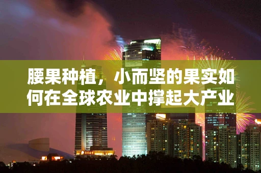 腰果种植，小而坚的果实如何在全球农业中撑起大产业？