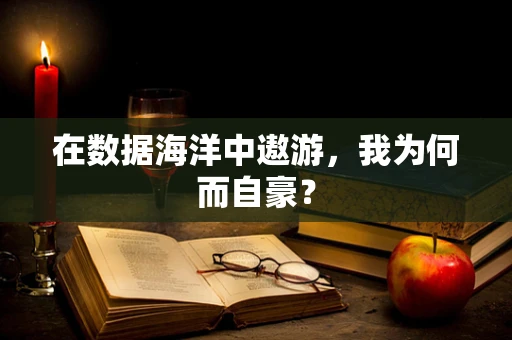 在数据海洋中遨游，我为何而自豪？