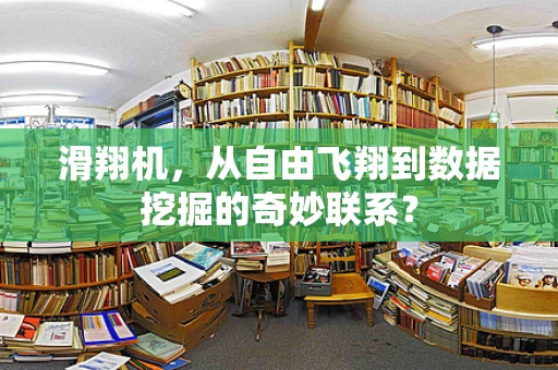 滑翔机，从自由飞翔到数据挖掘的奇妙联系？