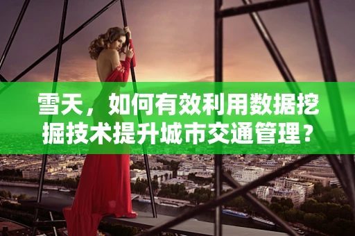 雪天，如何有效利用数据挖掘技术提升城市交通管理？