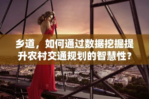 乡道，如何通过数据挖掘提升农村交通规划的智慧性？