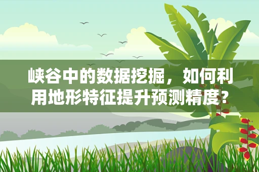 峡谷中的数据挖掘，如何利用地形特征提升预测精度？